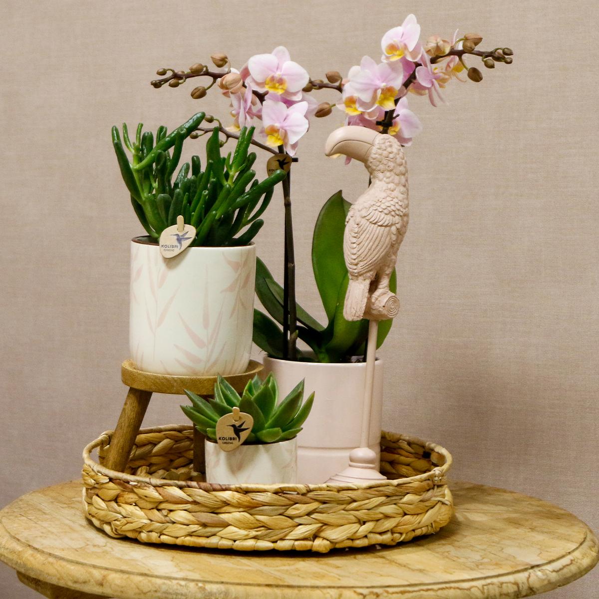 Kolibri Home | Leaf pot pink - Ø9cm - Vivaflorique