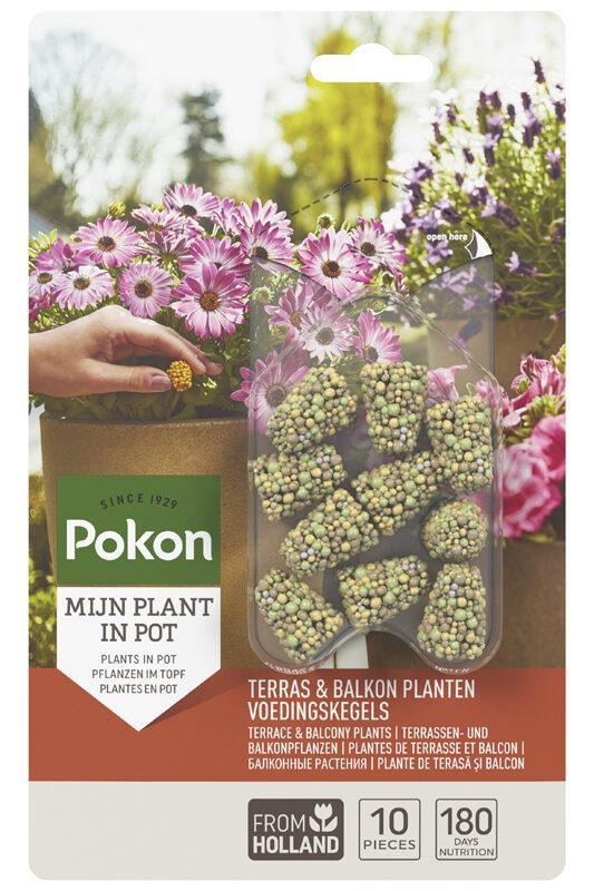 Terras&Balkon Planten Voedingskegels 10 stuks - Naturebox