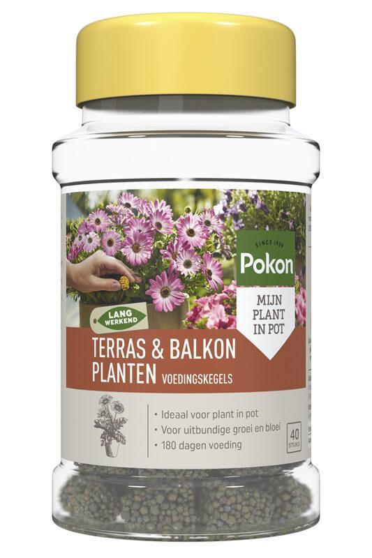 Terras&Balkon Planten Voedingskegels 40 stuks - Naturebox